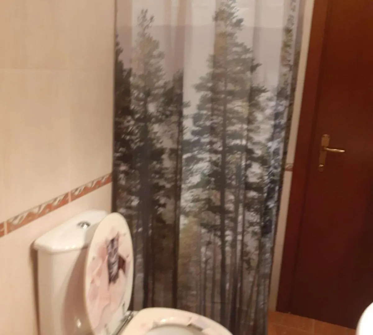 Iliana Home Apartment Tirana